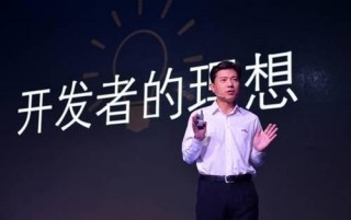 软件开发